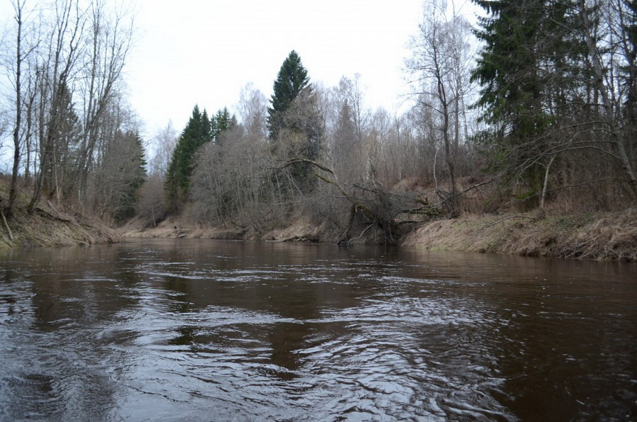 Нища: Открытие купального сезона, слезы, ведро, алкоголь и котейка